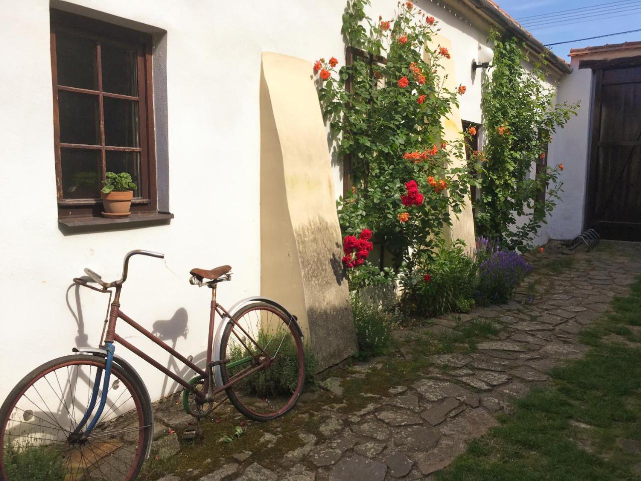 Habansky Dum Hotel Dolni Vestonice Luaran gambar